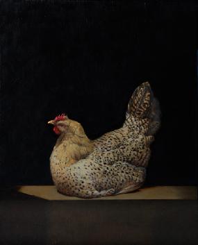 Sicilian Buttercup Hen