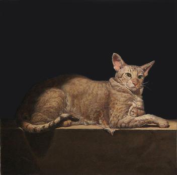 Oriental Short-Haired Cat